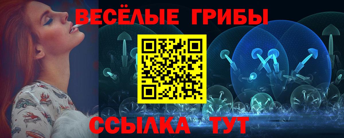 Галлюциногенные грибы ЛСД  Вход с VPN  Красноперекопск  Псилоцибиновые грибы GOLDEN TEACHER 