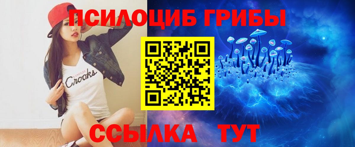 Псилоцибиновые грибы Psilocybe Красноперекопск